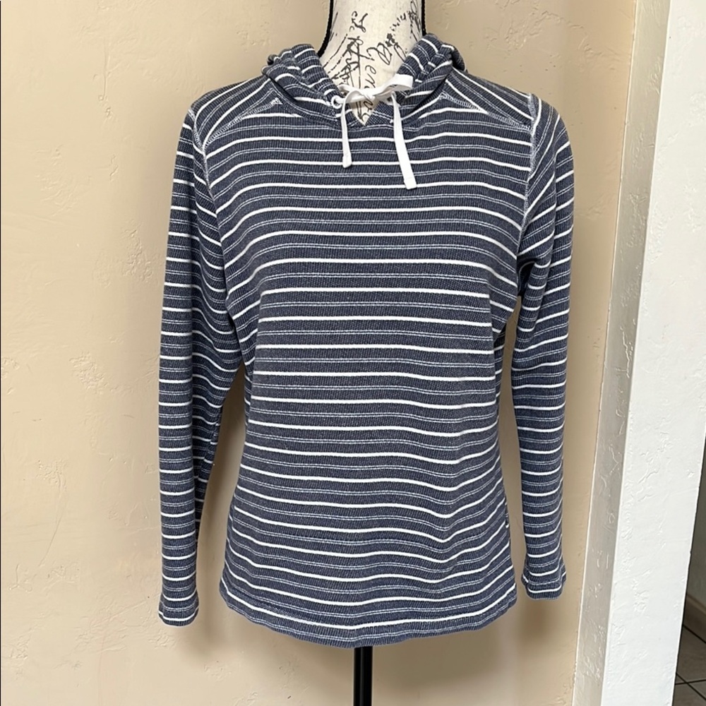 Striped Blue and White Hoodie